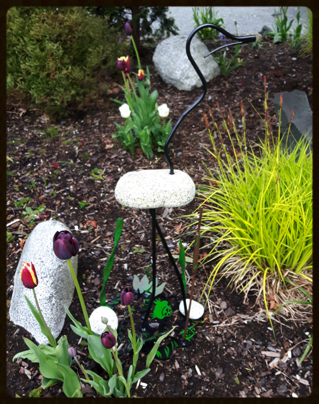 Rock Art, Heron, Campbell river BC, Vancouver island BC, Vancouver BC, Victoria BC, British Columbia,Alberta