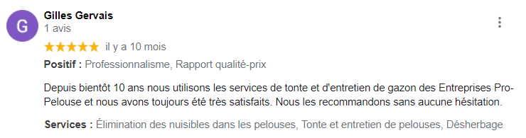 https://0901.nccdn.net/4_2/000/000/04b/787/capture-d%C3%A2%C2%80%C2%99%C3%A3%C2%A9cran-2022-03-17-185333---google-review.png