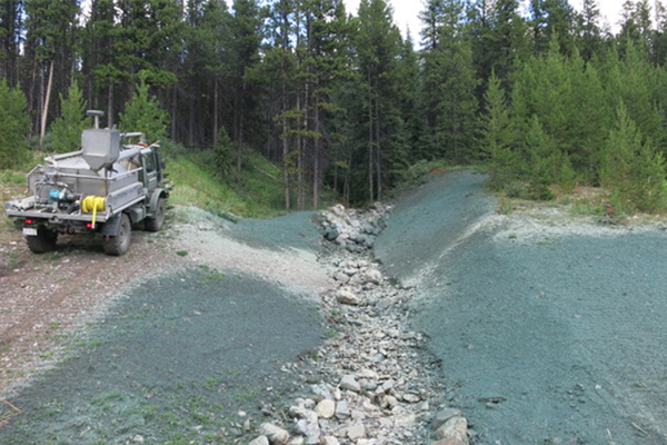 A rocky path close to a forest