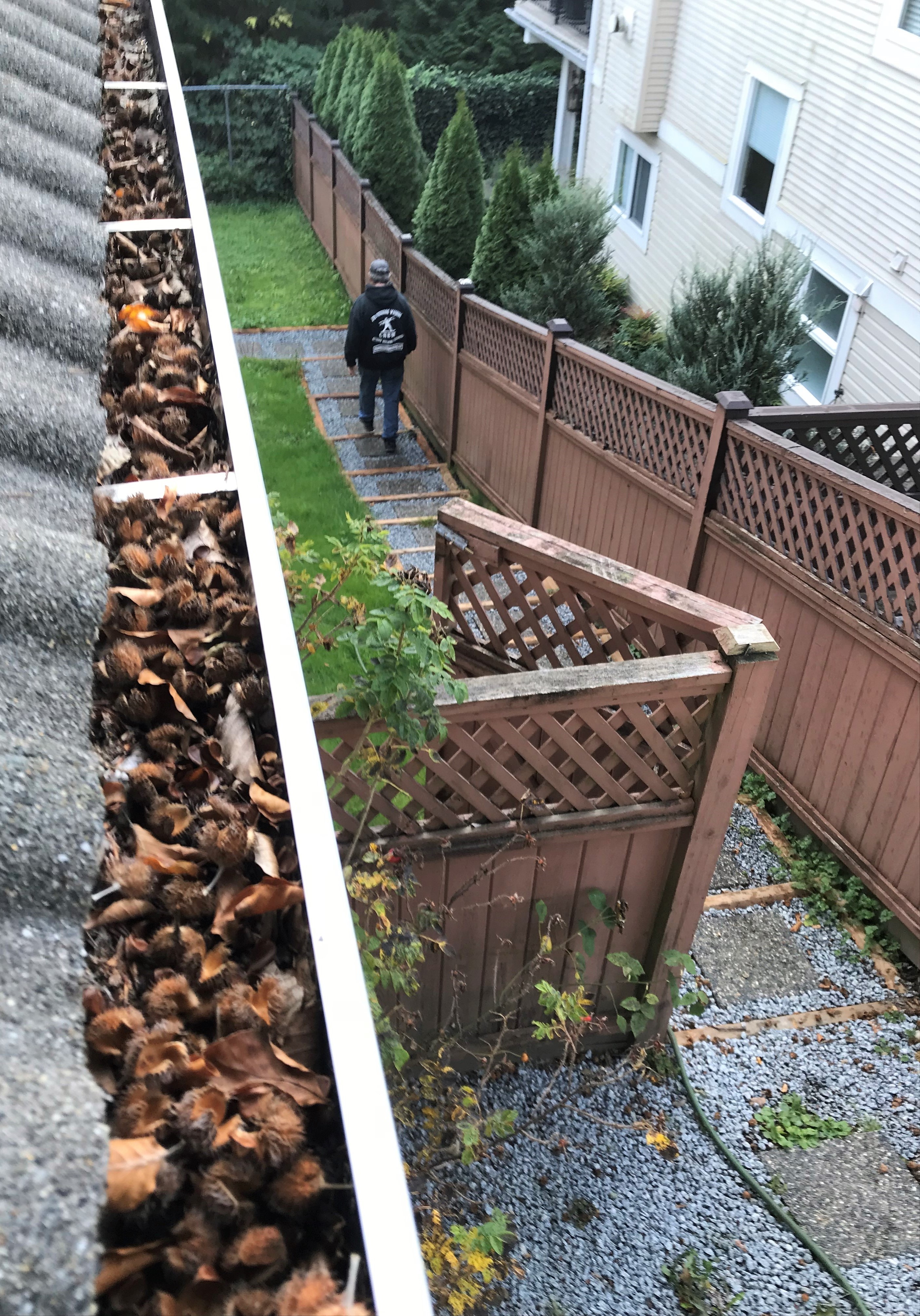 Gutters full of debris