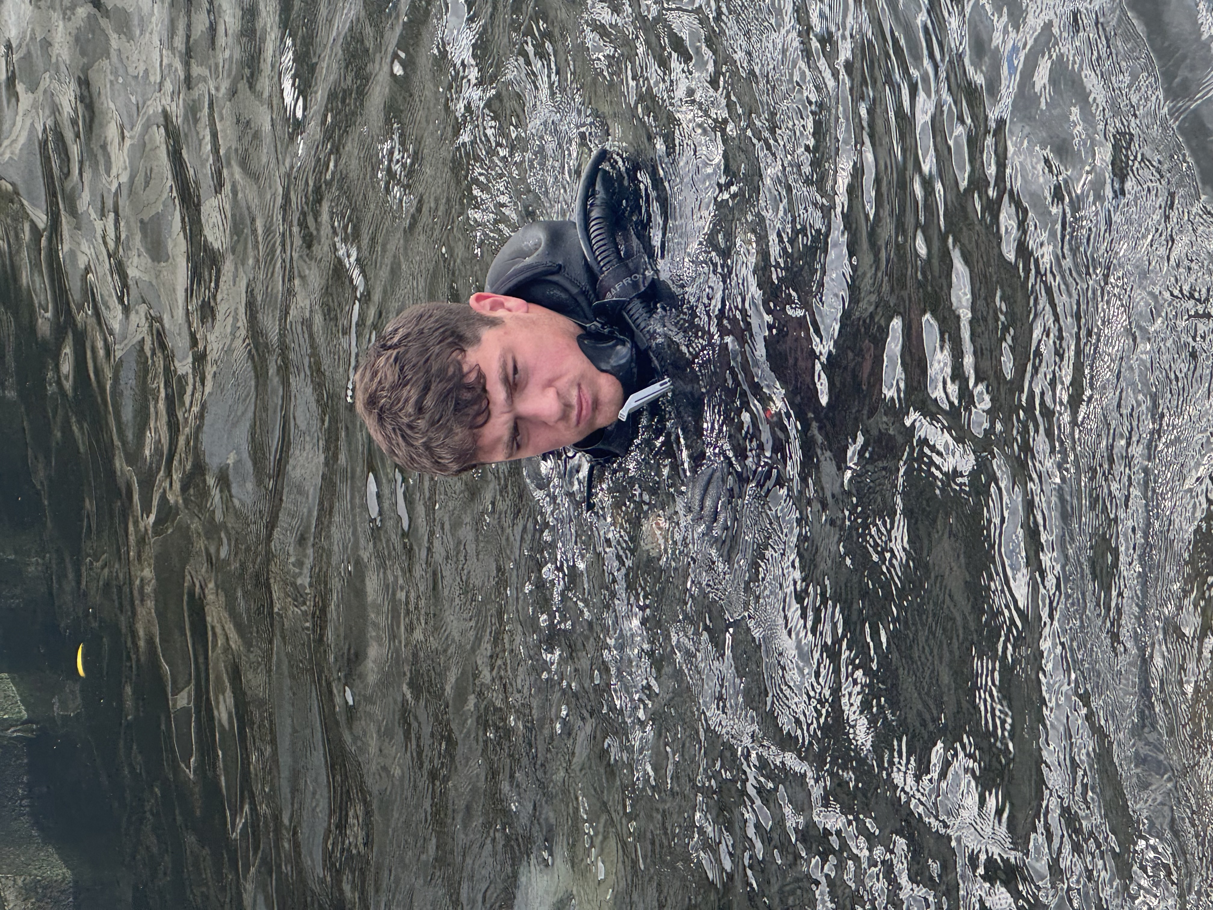 https://0901.nccdn.net/4_2/000/000/04b/787/img_1326.jpeg