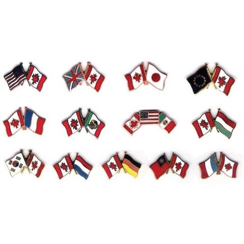 LAPEL PIN – FRIENDSHIP FLAG