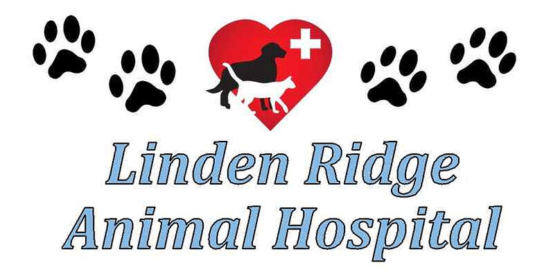 Linden Ridge Animal Hospital