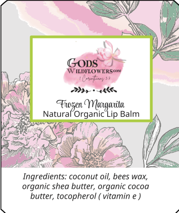 https://0901.nccdn.net/4_2/000/000/04b/f00/organic-lip-balm-frozen-margarita.png