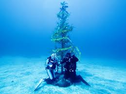 https://0901.nccdn.net/4_2/000/000/04c/a91/scuba_tree.jpeg