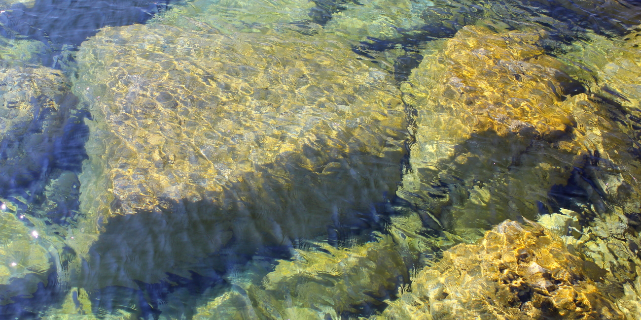 "Clear Intentions"
Limited Edition Print