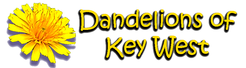 Dandelions of Key West