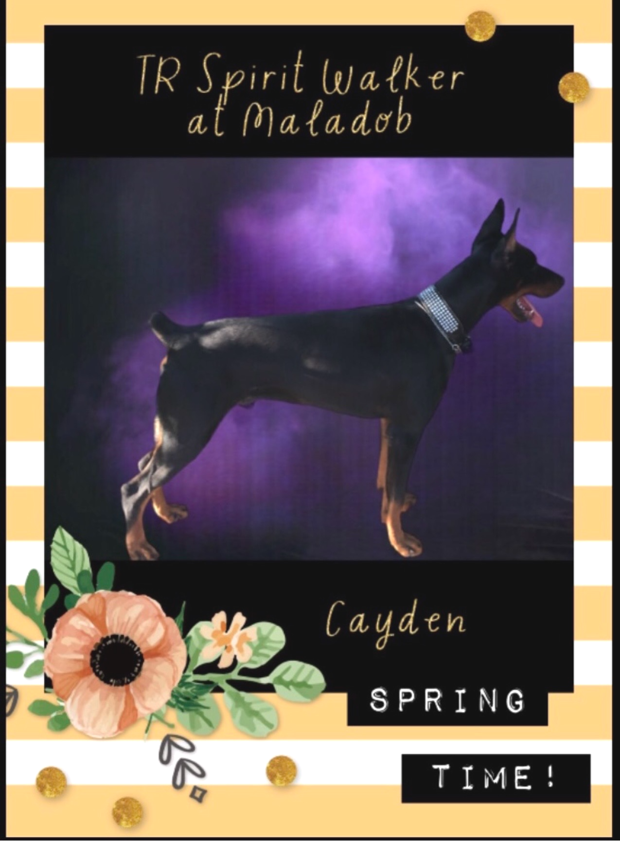 Cayden