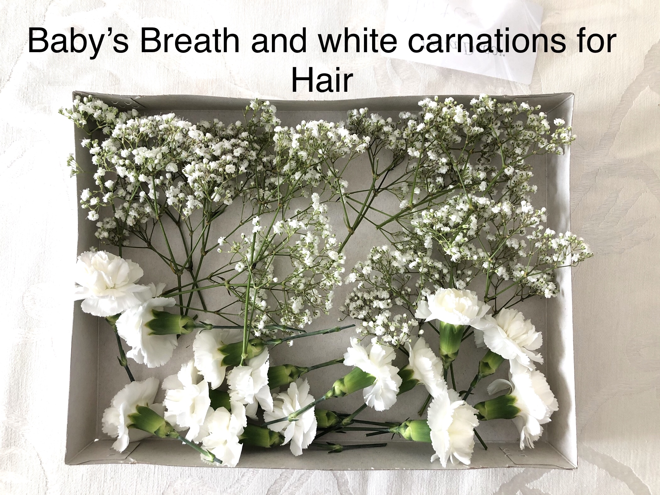 Babies breath and carnations for hair 
