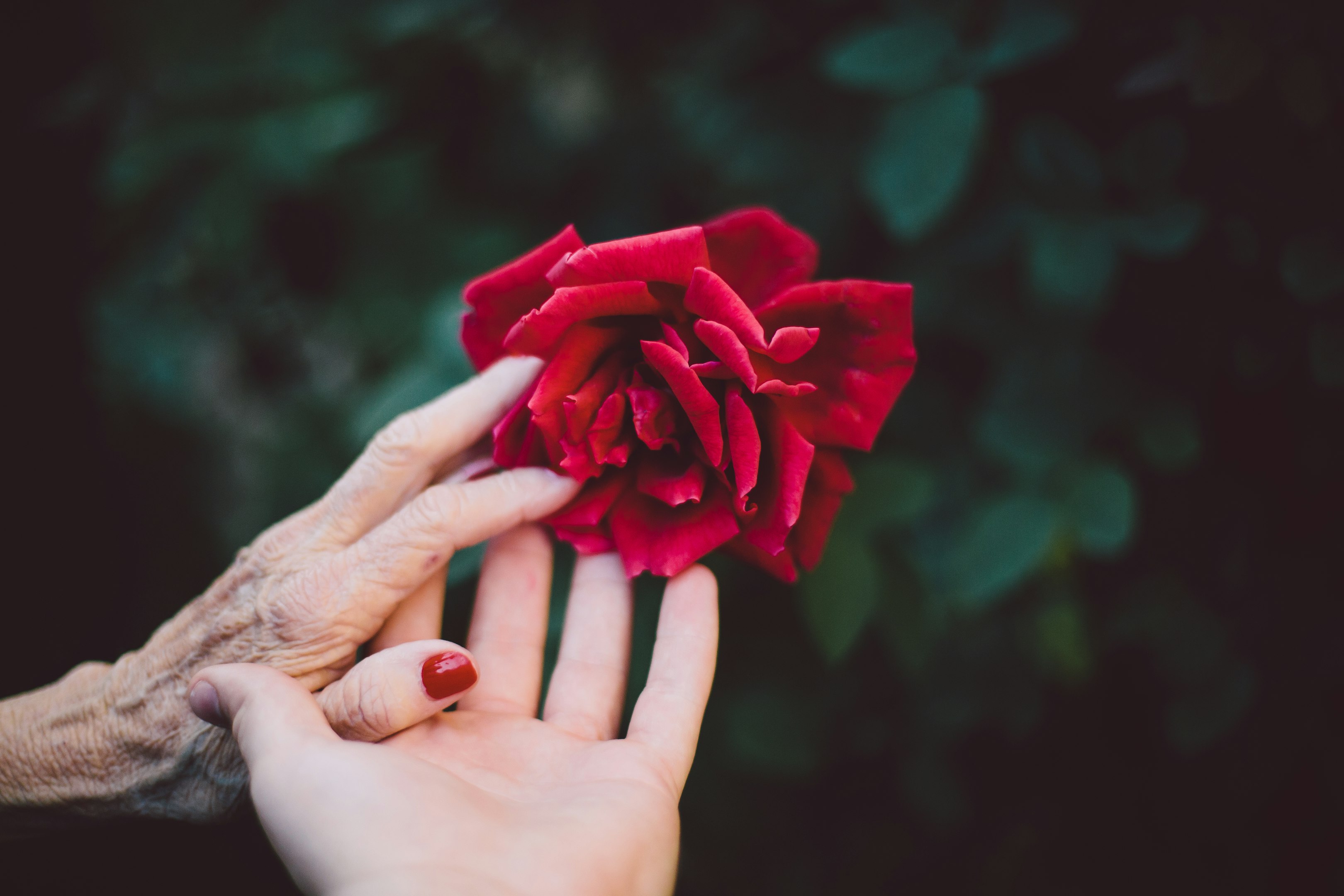 " Ma mère et moi sommes séparées par la distance, nous ne nous voyons pas souvent. Quand j'ai suivi le cours en Énergie Universelle, je lui ai fait des transferts. Nous en avons bénéficié toutes les deux et cela nous a rapprochées dans nos coeurs. Merci! "