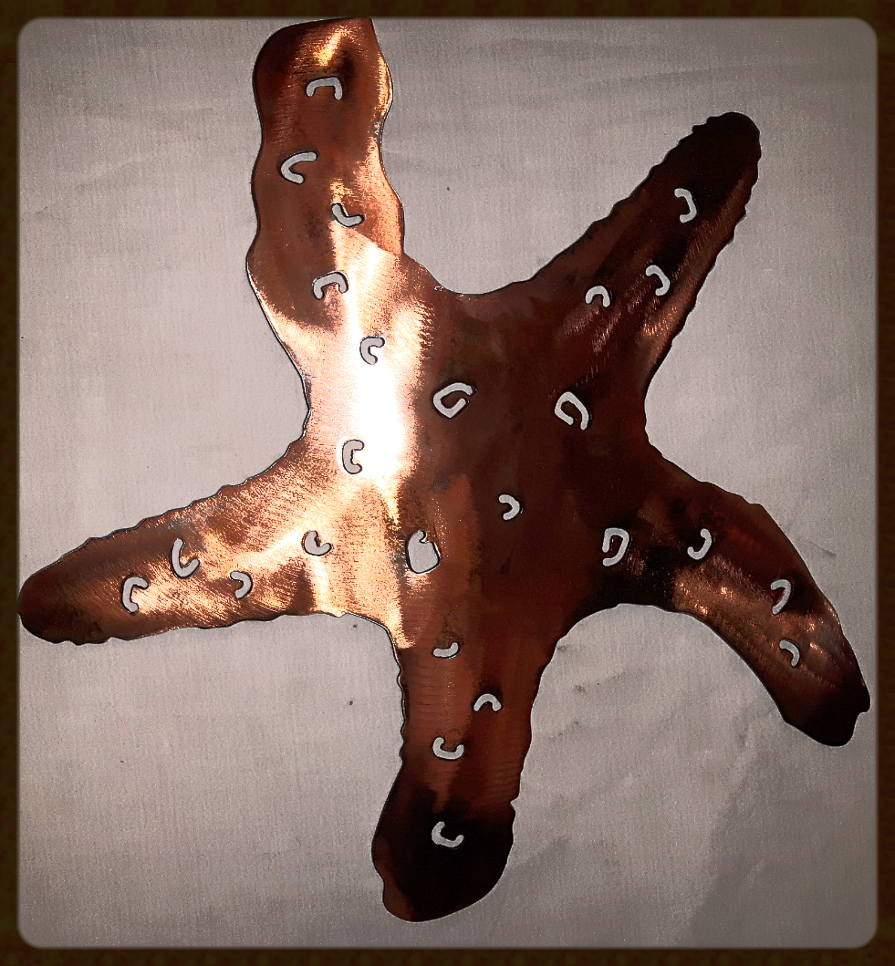 Metal art, Starfish, Campbell river BC, Vancouver island BC, Vancouver BC, Victoria BC, British Columbia,Alberta