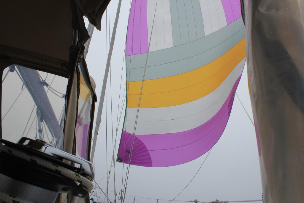 COMPASS ROSE X FLYING THE CRUISING SPINNAKER