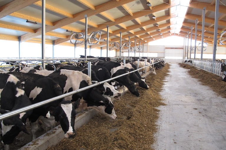 2014 Cobden - Dairy barn