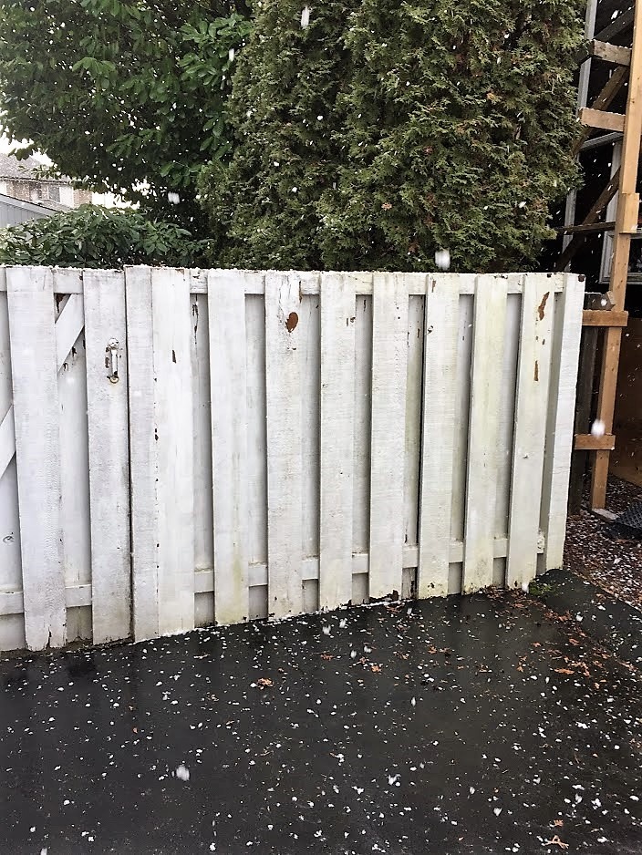 original old fence panel