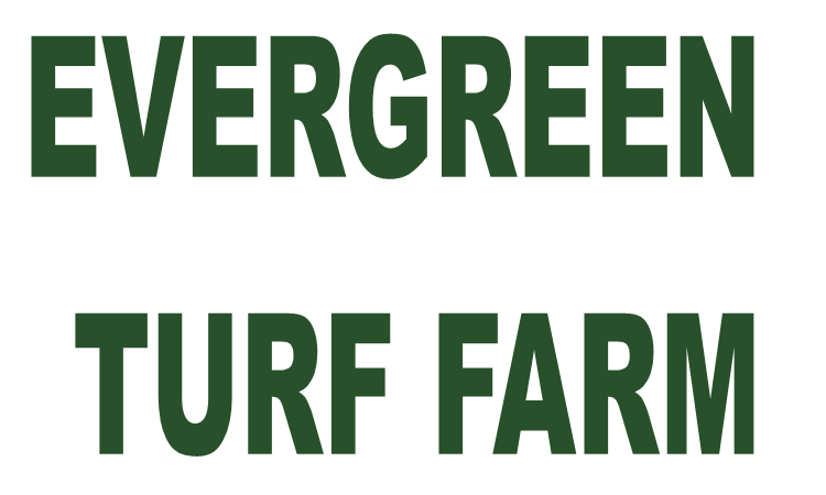 https://0901.nccdn.net/4_2/000/000/050/773/evergreen-turf-farm-2.png