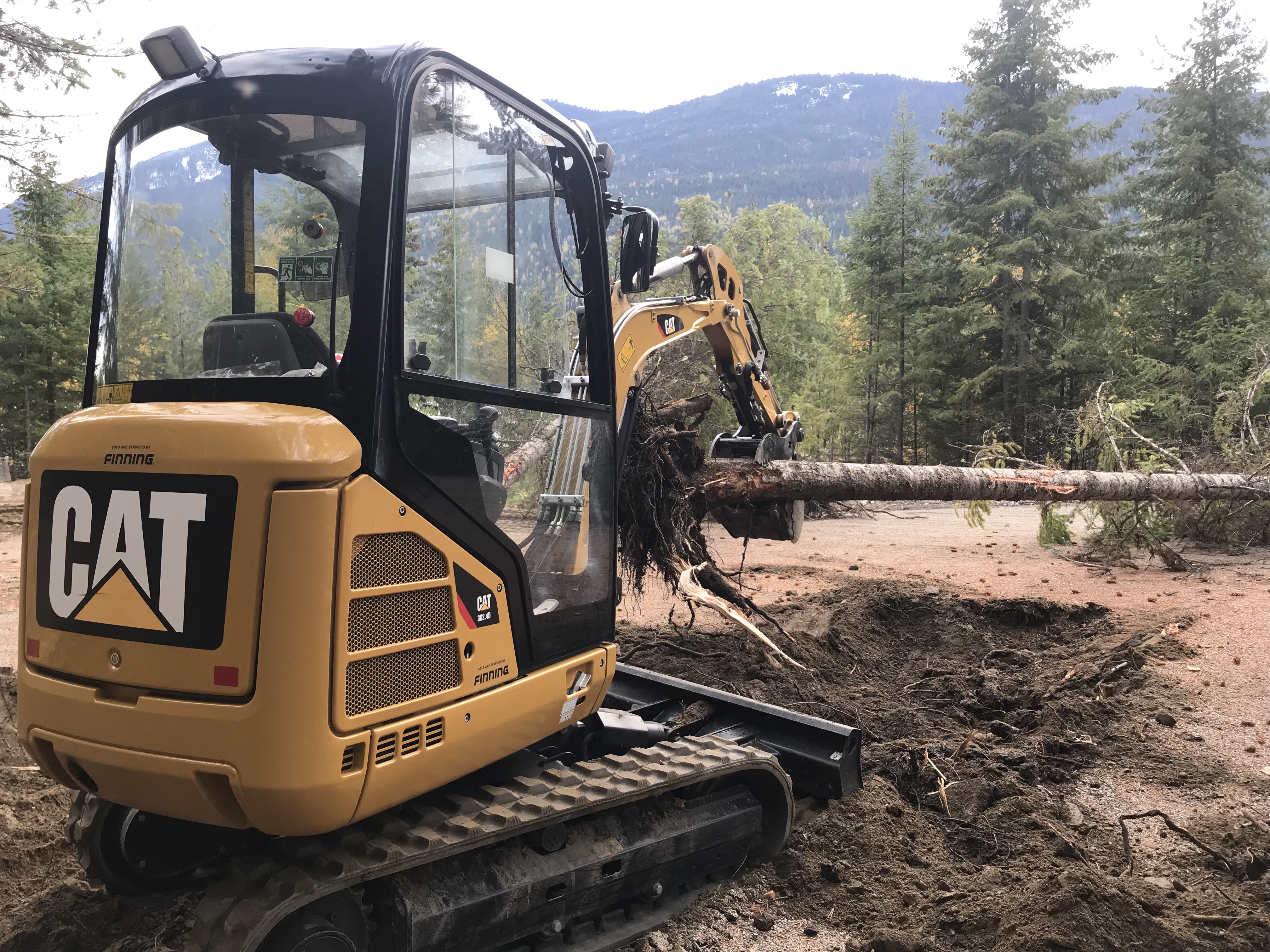a blue sky is seen through the branches of a tree