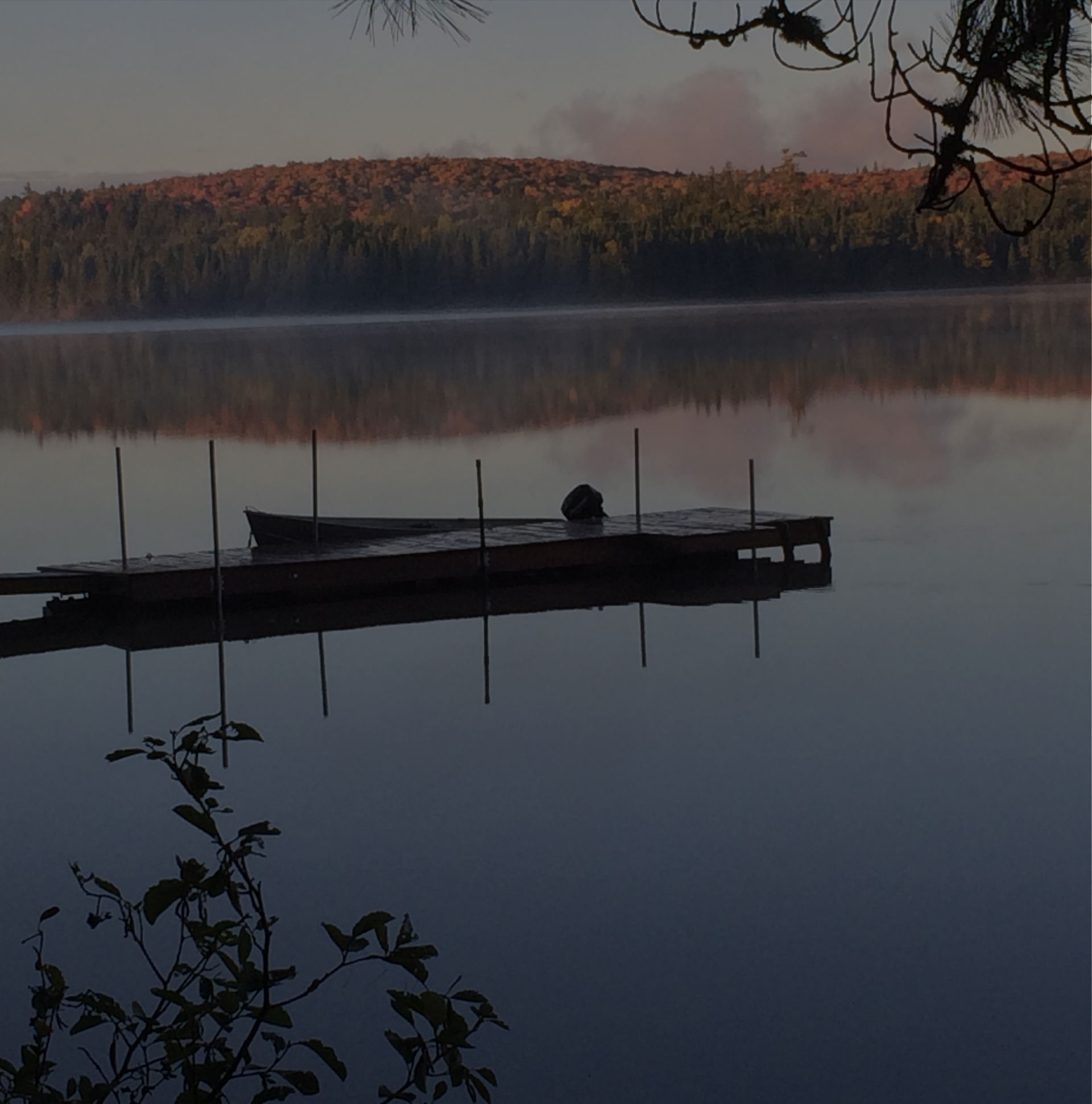 Forfaits de chasse au gros gibier à l'ours noir — Pourvoirie du Lac Doolittle – Pourvoirie du Lac Doolittle