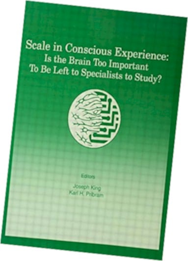 Scale in Concious Experience book cover