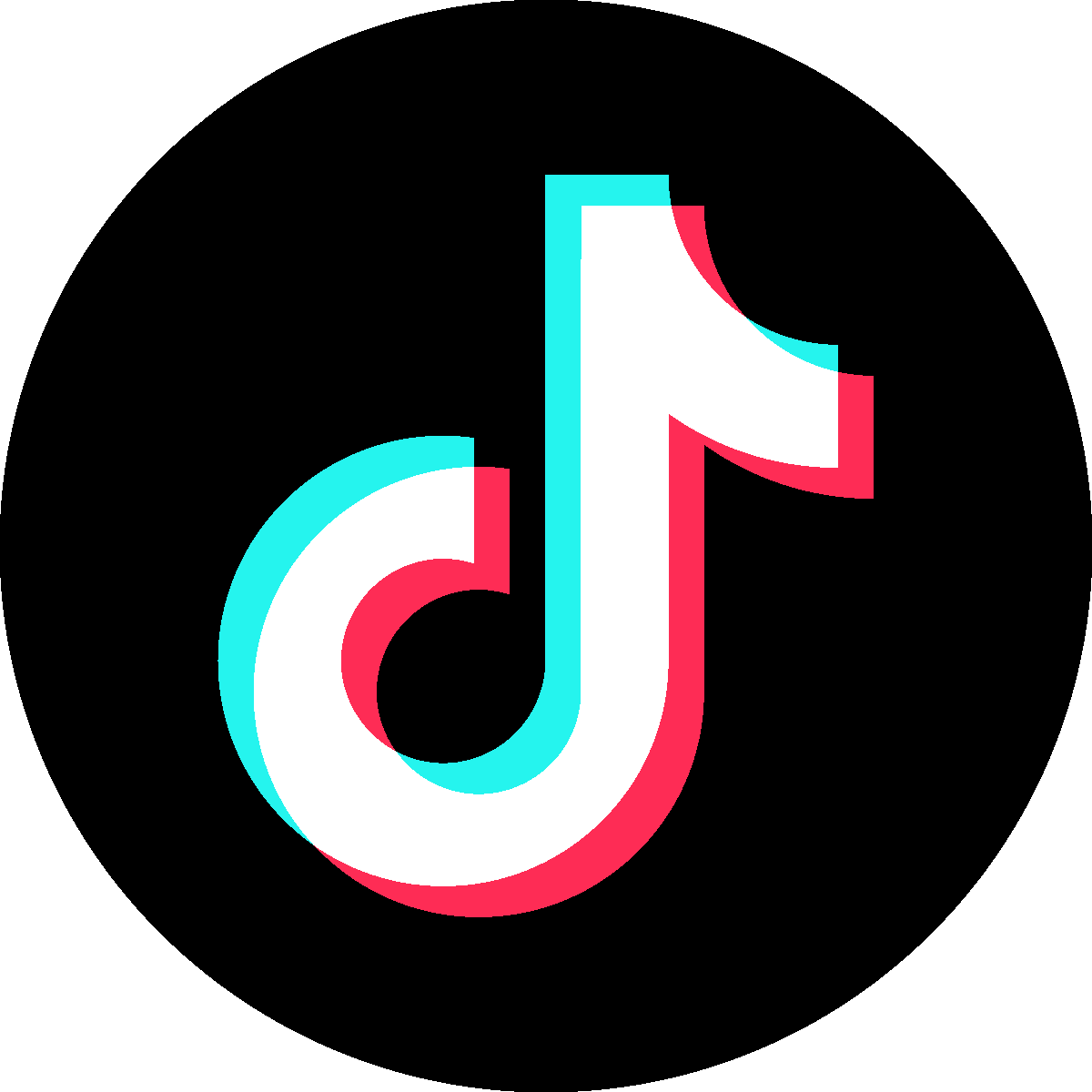 Link Icon
