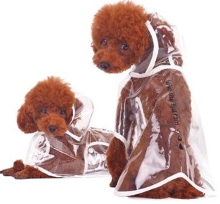 https://0901.nccdn.net/4_2/000/000/051/0ce/rain-small.jpg