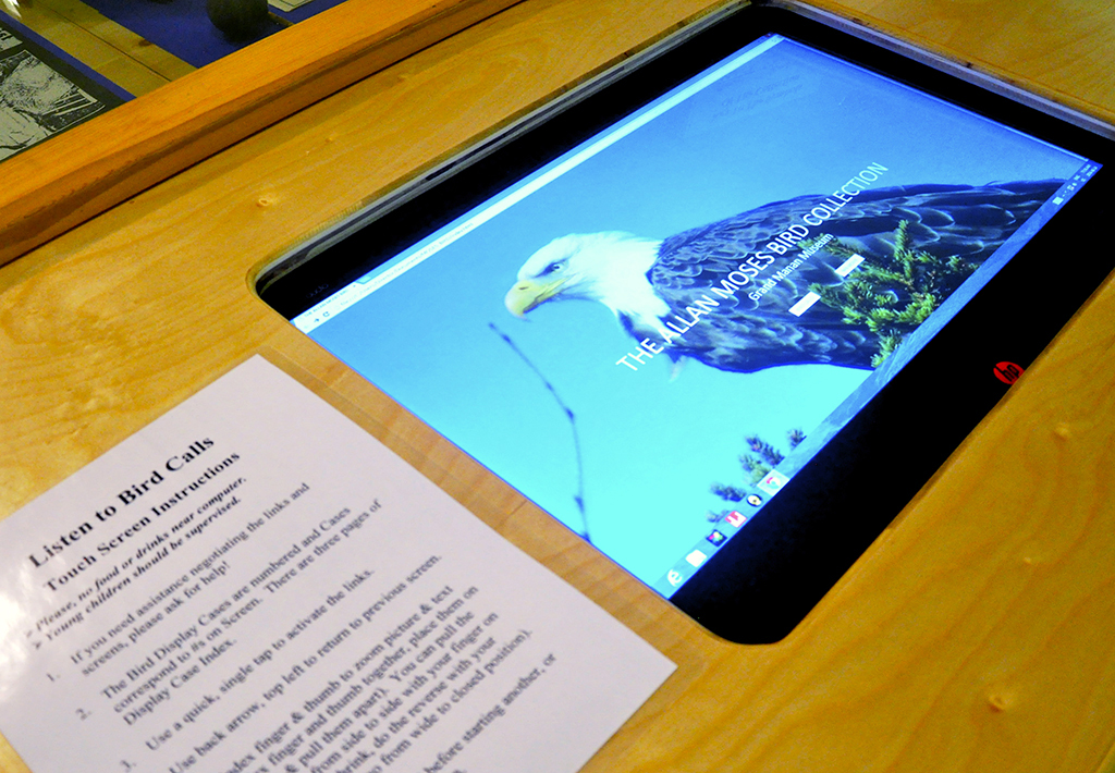 Interactive Touch Screen of Bird Calls, Photos, & Text and a NFB Short Film.