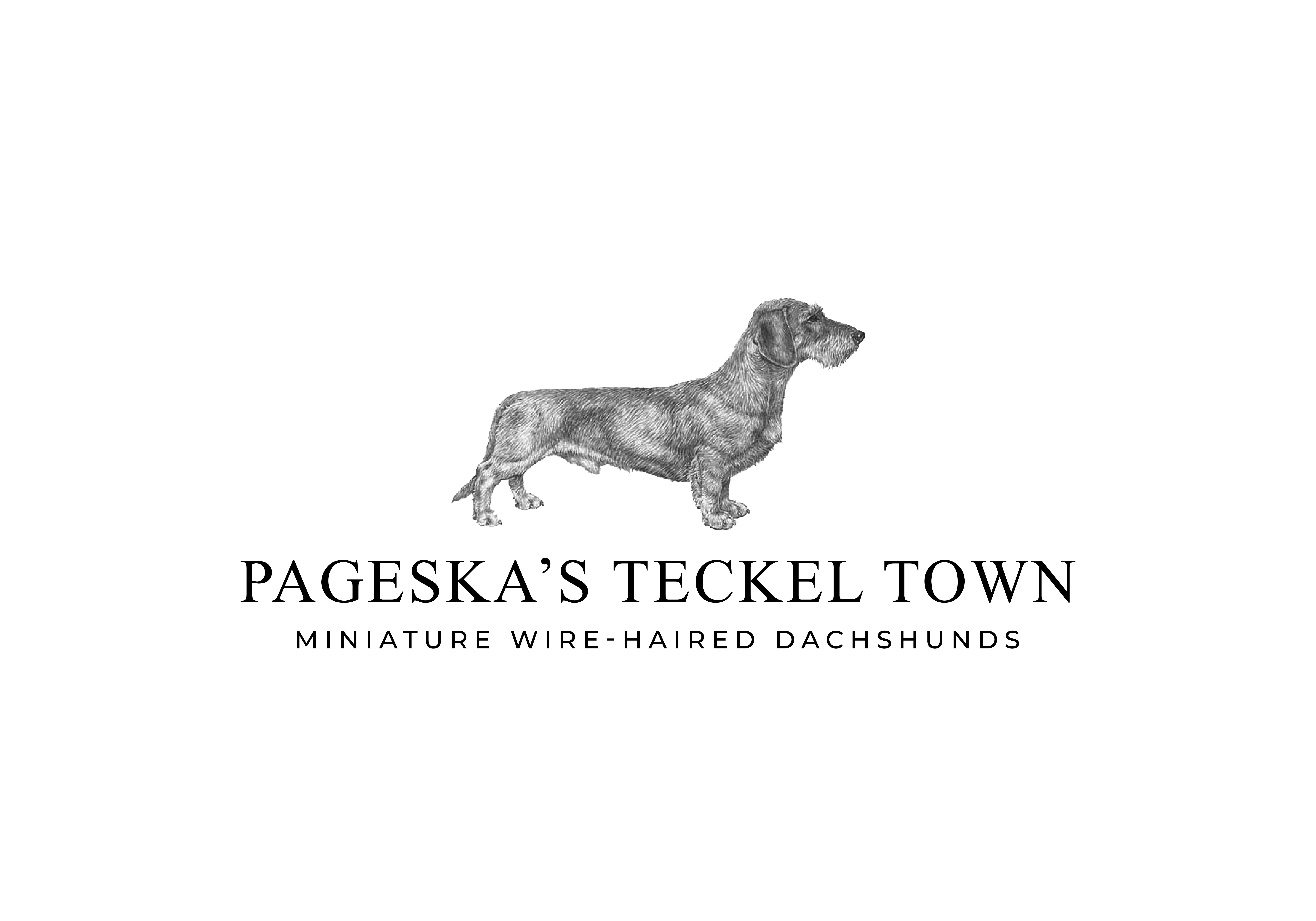 PAGESKA'S TECKEL TOWN