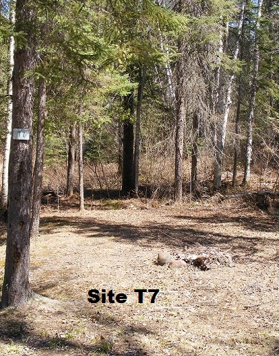 Site T7 - Tent Site - No Services