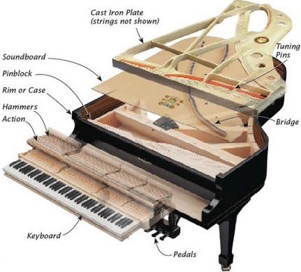 Architecture d'un piano à queue