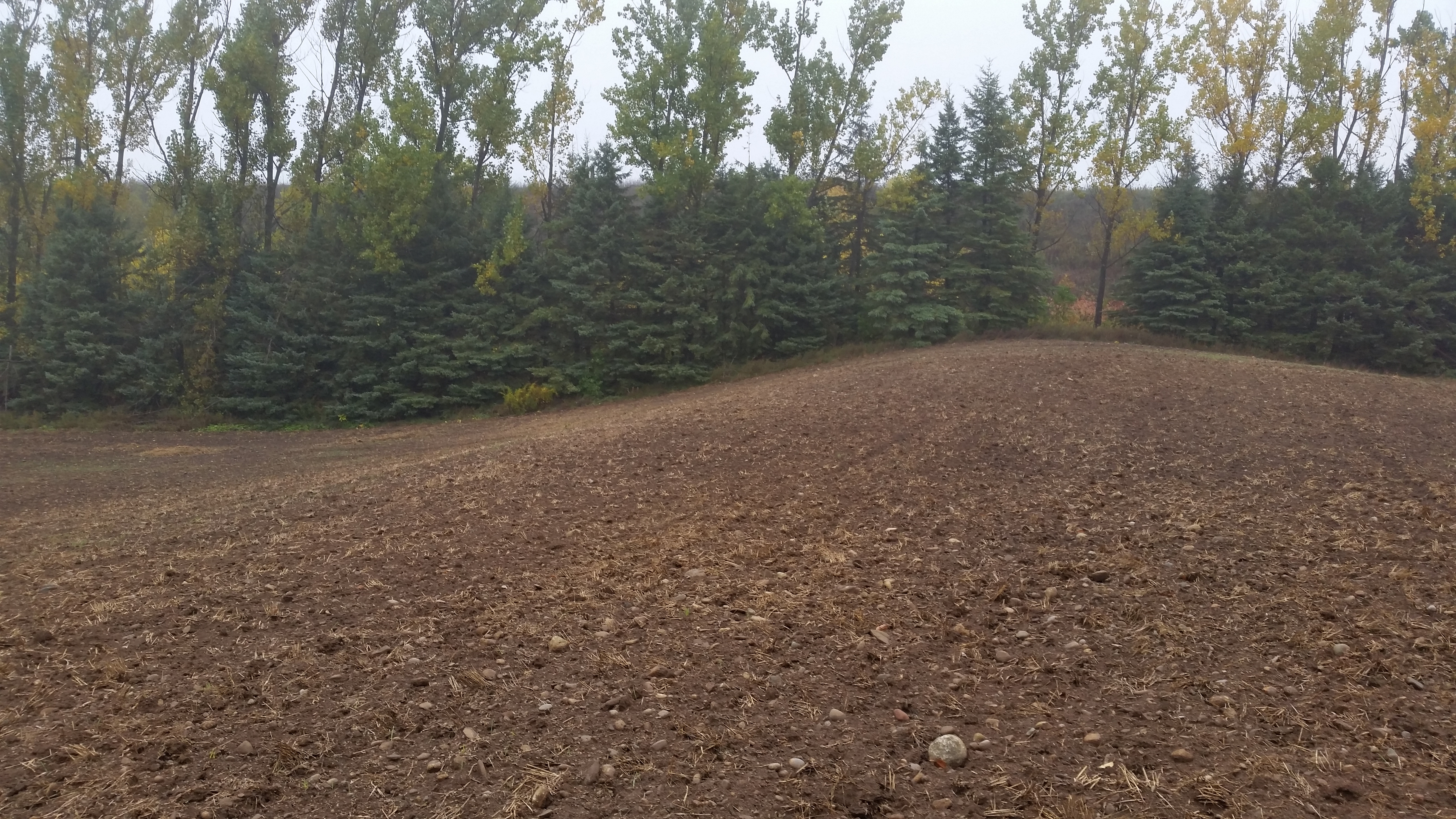 Stony and steeply sloping lower capability lands.

