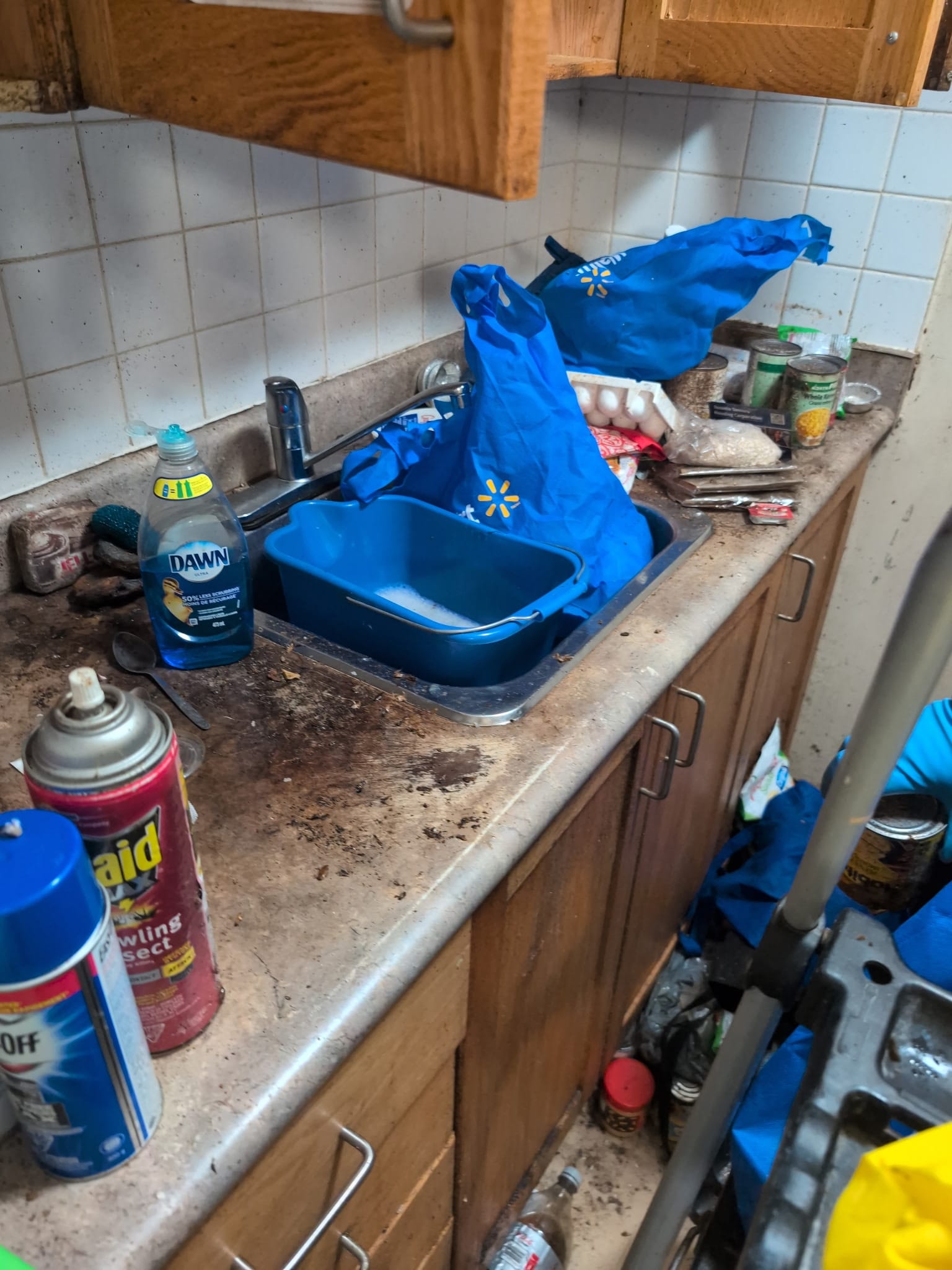 Kitchen in neglected property condition with surface buildup, environmental disruption, and compromised functionality requiring structured restoration