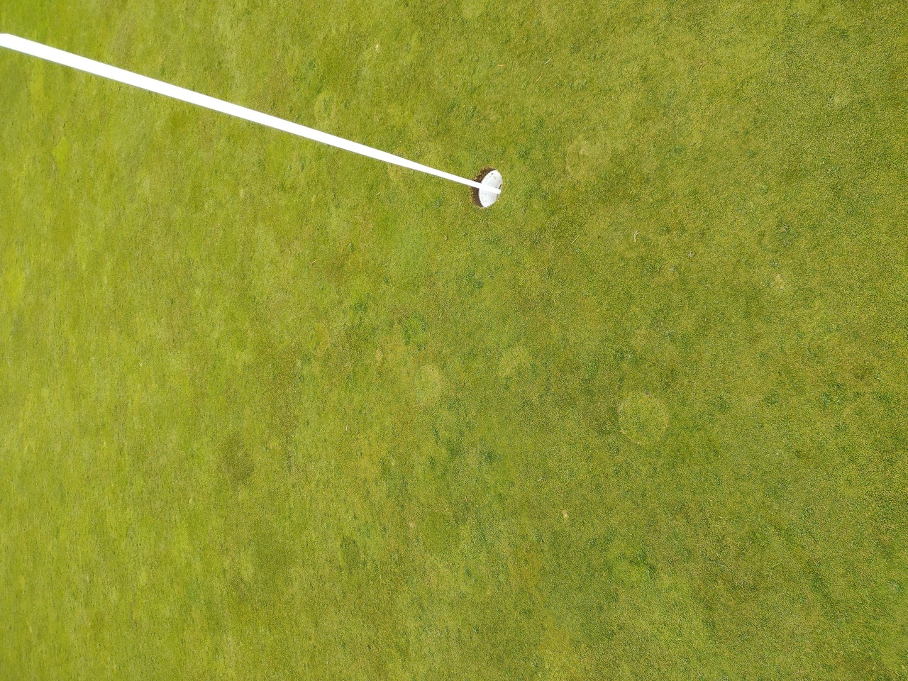 Modern indoor golf simulator with a futuristic mascot sitting on a golf cart. Modern indoor golf simulator with a futuristic mascot sitting on a golf cart.