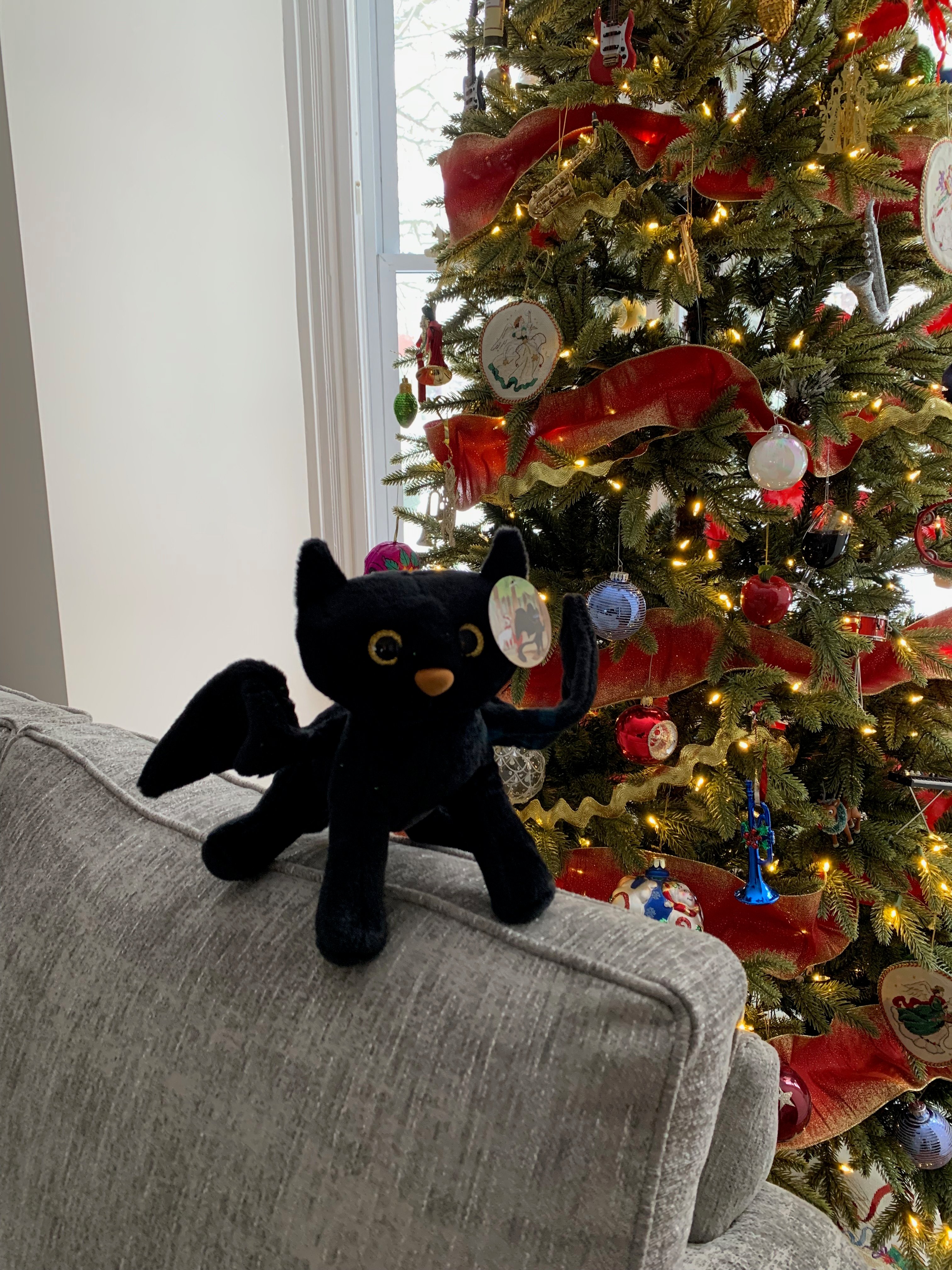 Go to site home page Owl Cat