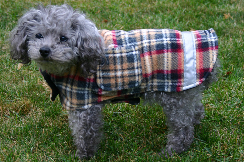 Oscar Wild Fleece Jacket