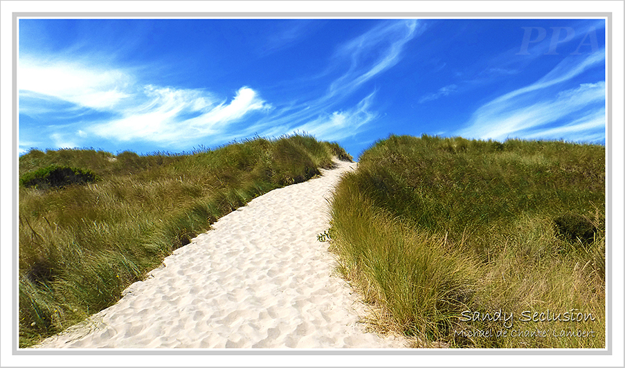 Landscape Photography (20x34)
Pacific Coast, Oregon
<< Sandy Seclusion >>