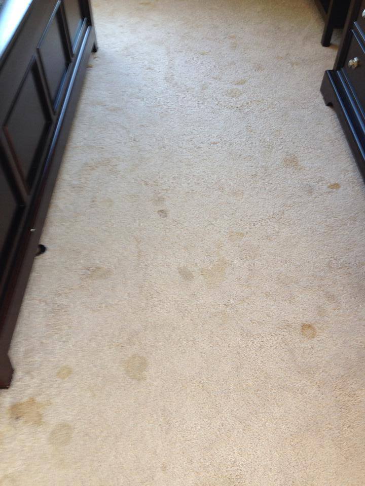Light Carpet with Heavy Stains and Discoloration Before Cleaning