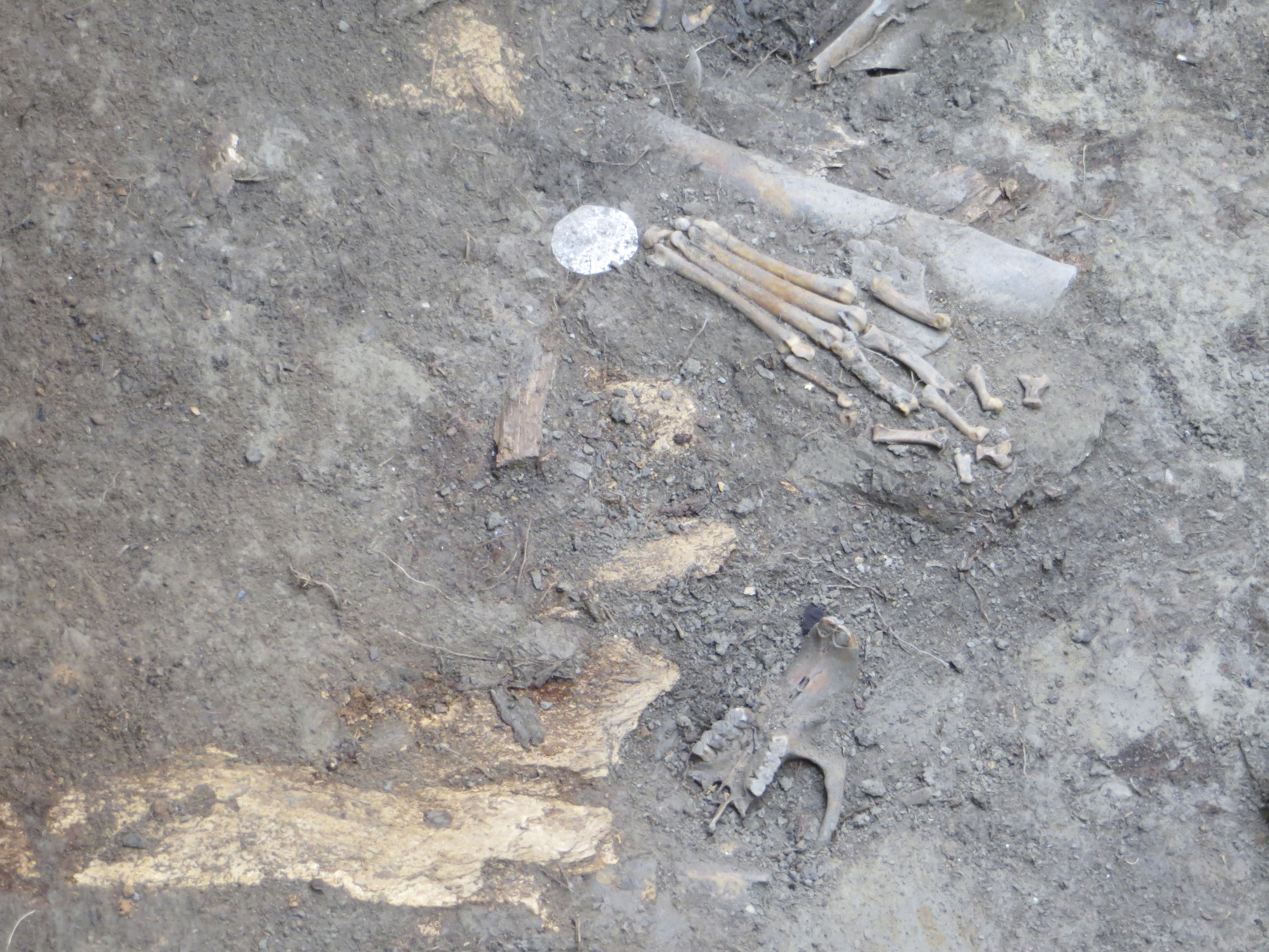 Archeological findings at La Fleur's Post 2013. 
Photo Credit: Annamie Le Roux 