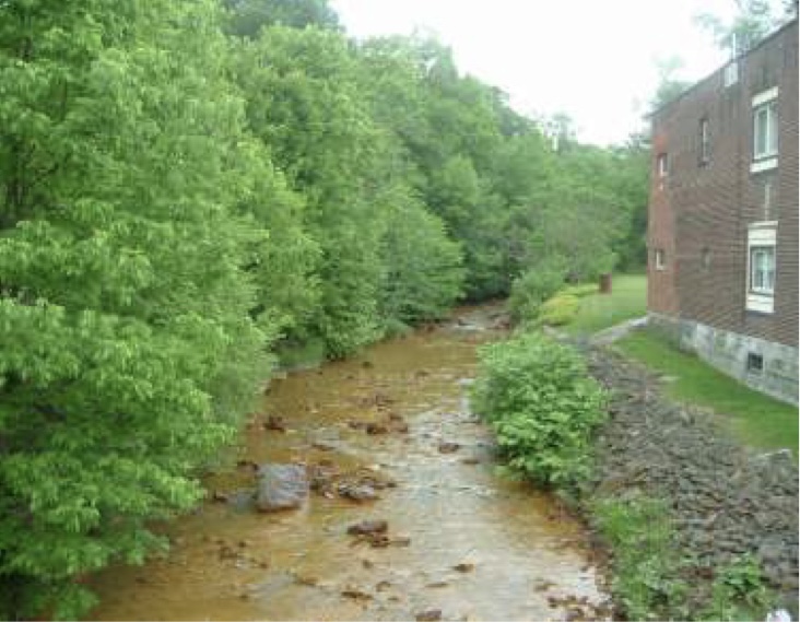Streambank Stabilization