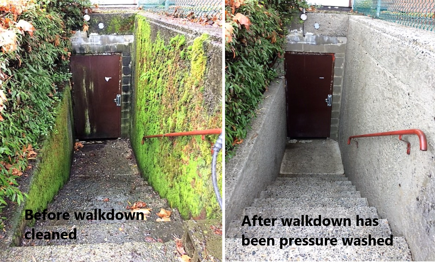 walkdown
