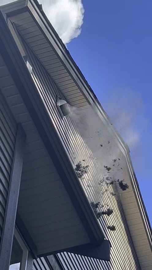 Metal bird prevention installed on roof vent. 