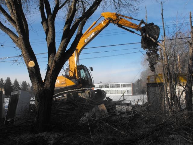 Trees and Construction Edmonton