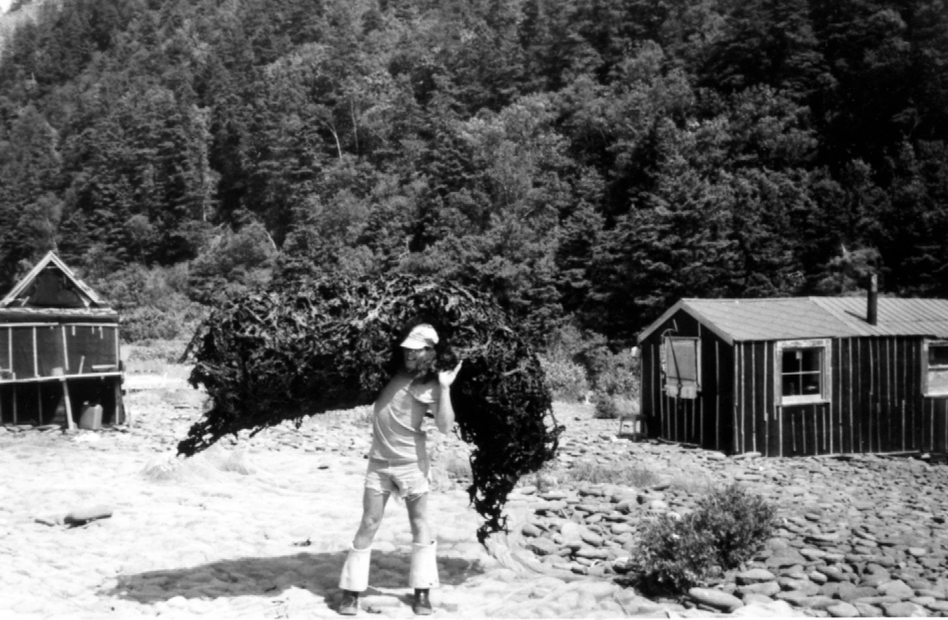Donnie Ritchie carries a bundle of dry dulse c. 1970.