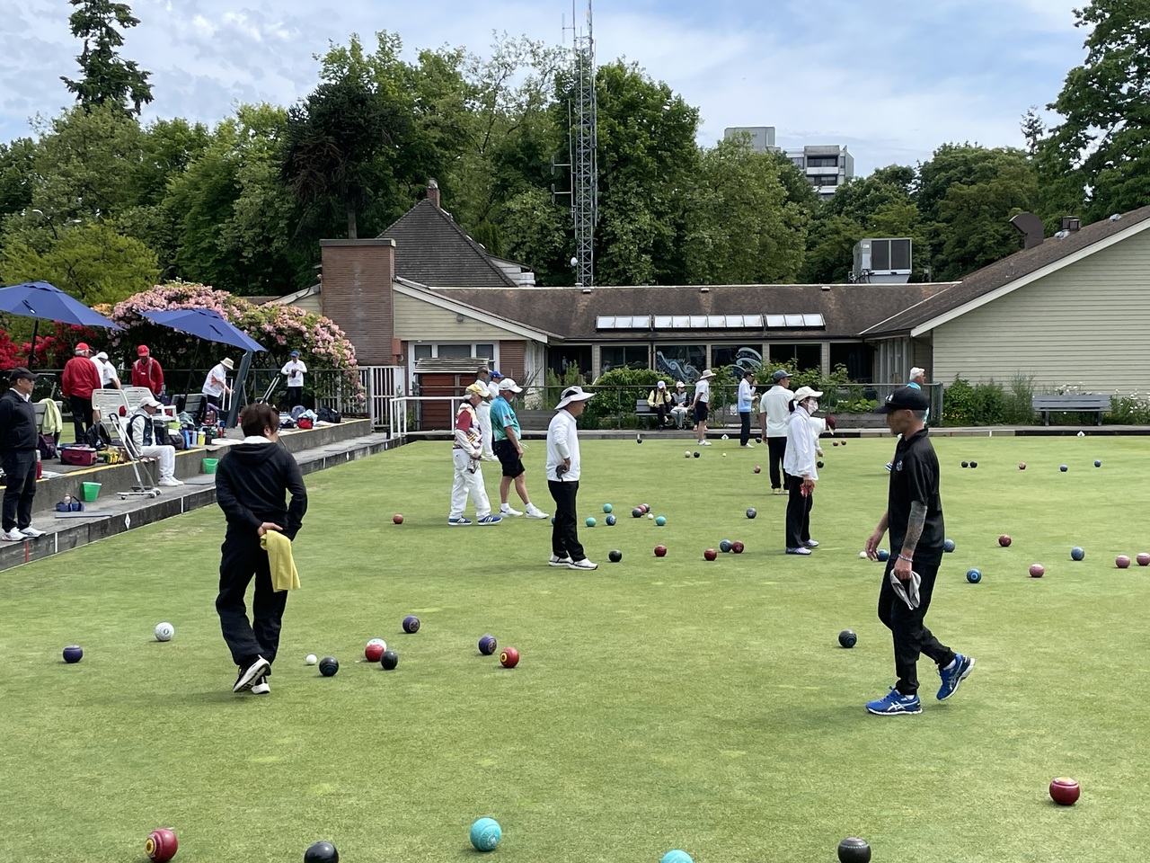 Bowling ball on green lawn with white pins in a sheltered area, surrounded by trees on a sunny day.