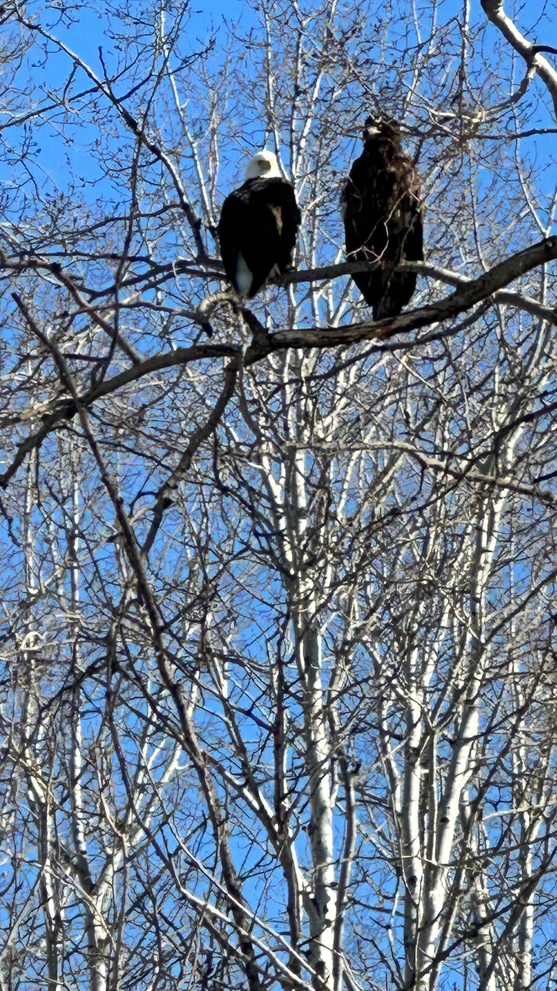 Confident male doctor with stethoscope and glasses smiling in a hospital corridor.