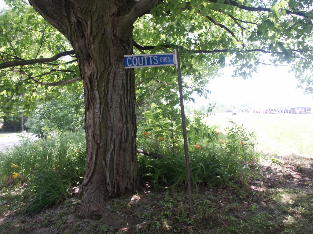 https://0901.nccdn.net/4_2/000/000/05c/240/pict0066.jpg