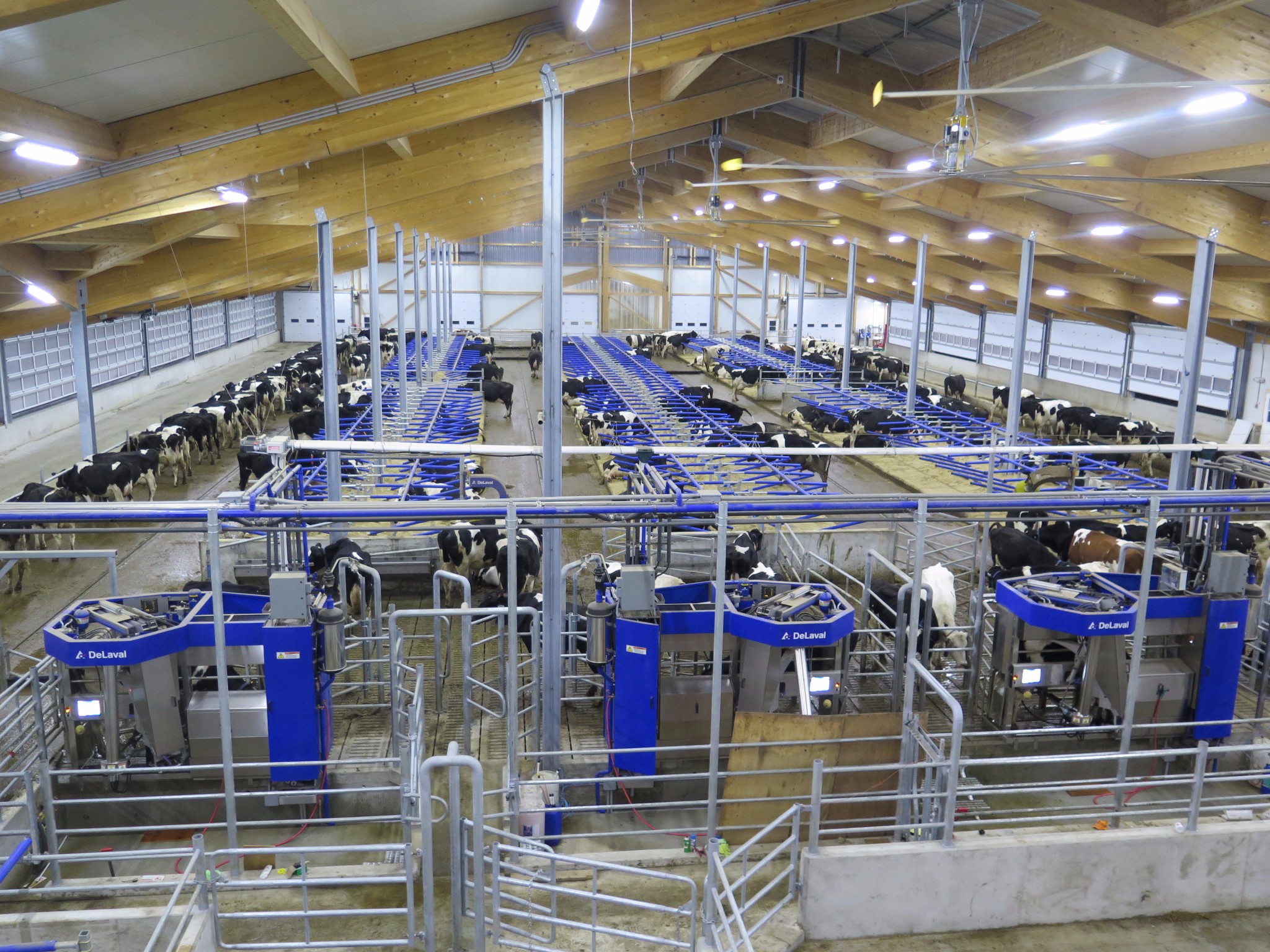 2016 Manitoba - Robot dairy barn