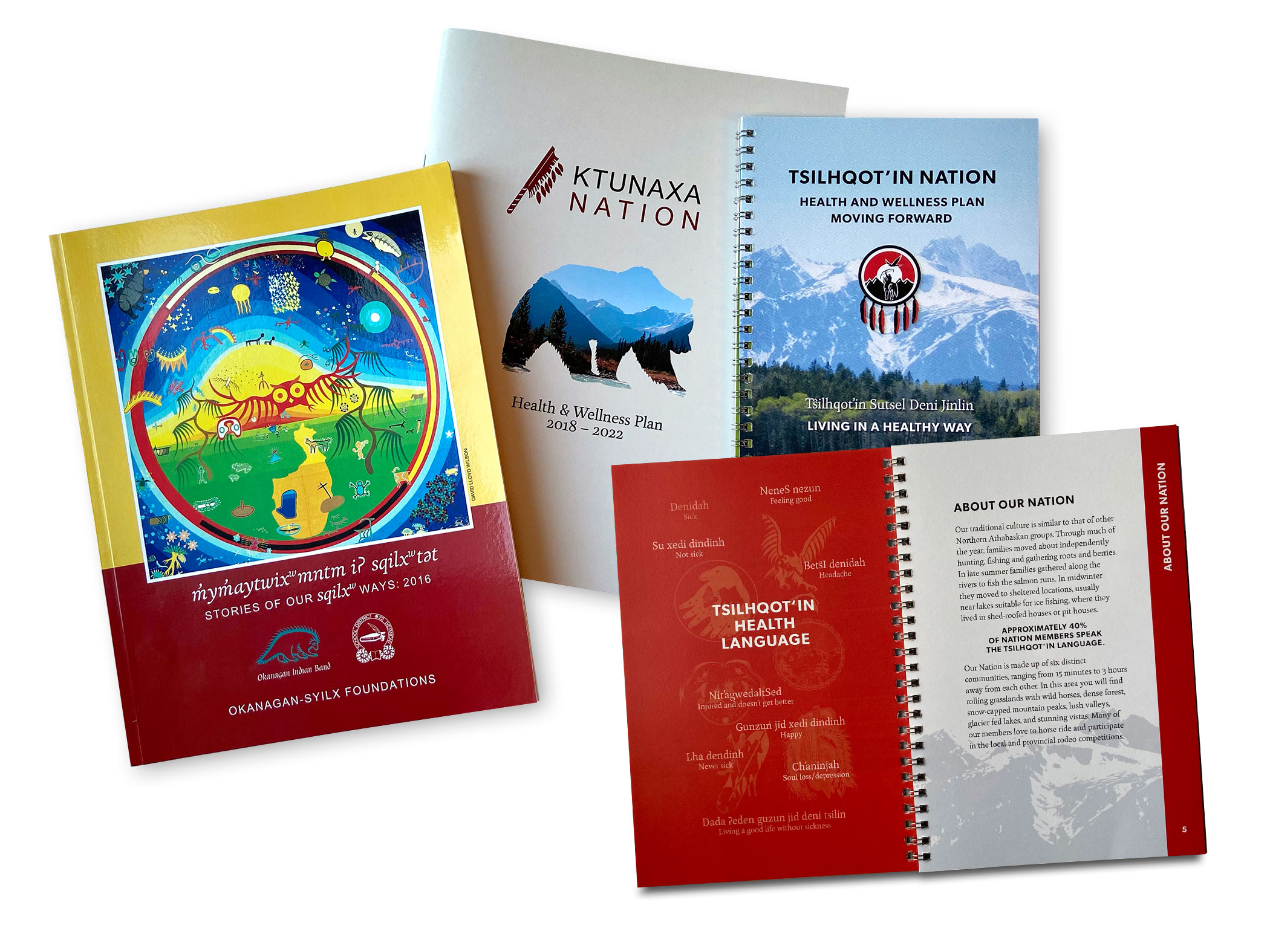 Ktunaxa Nation and Tsilhqot'in Nation Interior Region Health Plans, various