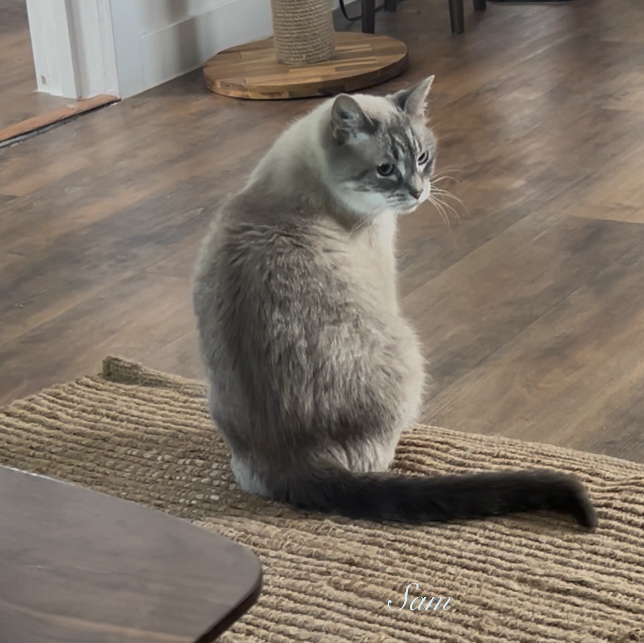 Sam