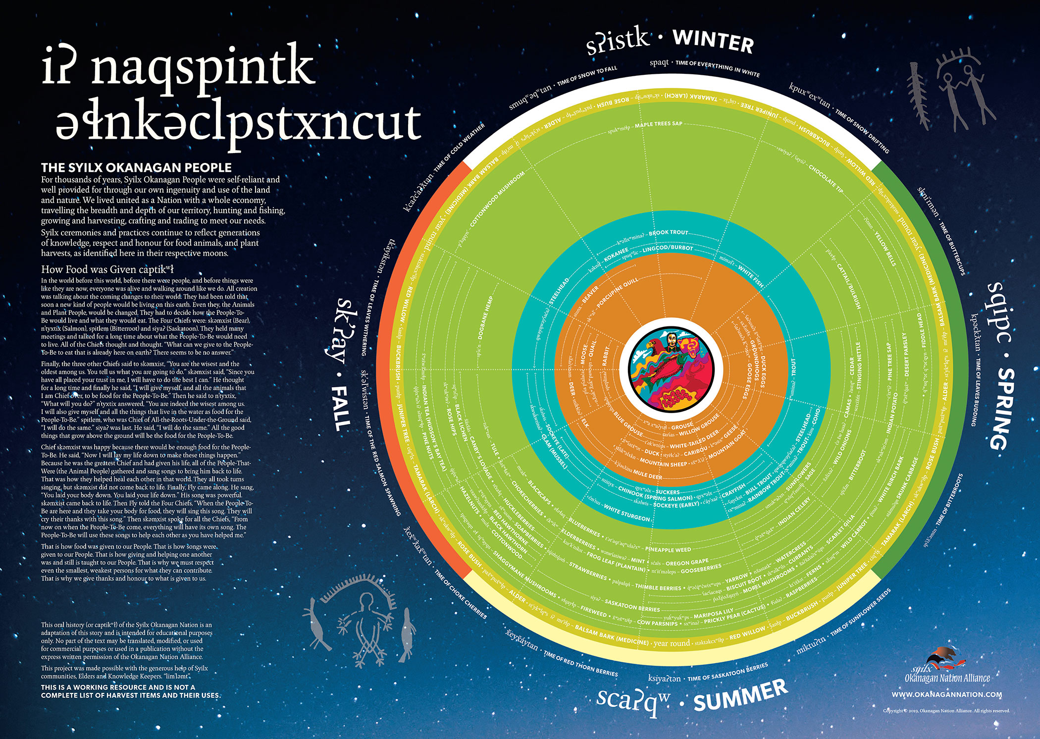 syilx Seasonal moon harvest calendar 38"x 27"