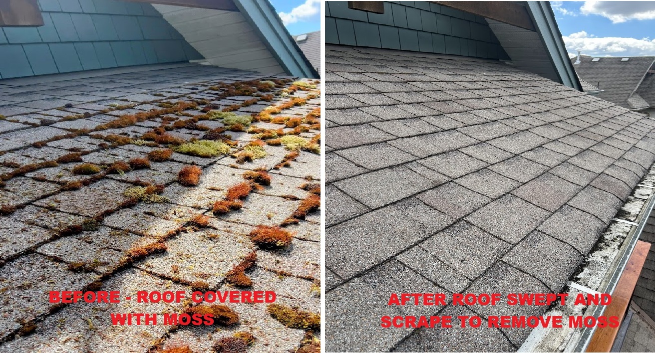 we sweep and scrape asphalt roofs