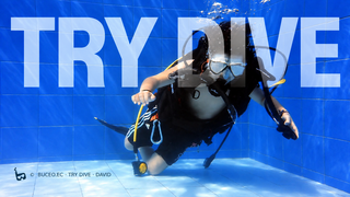 Try Dive BUCEO.EC